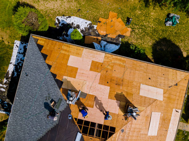 Roof Gutter Cleaning in Elkhorn, CA